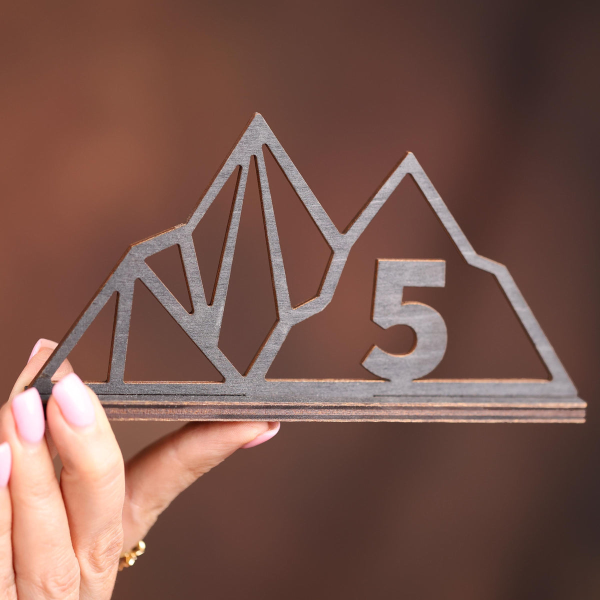 A hand holding a wooden object with a mountain-like design and the number 5 on it.