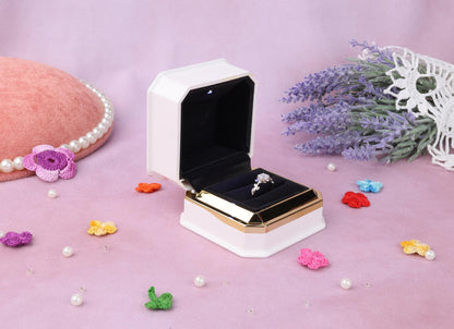 LED Double Ring Box: Velvet Proposal Ring Organizer