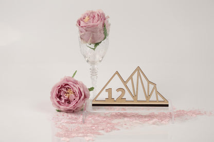 a glass vase with a pink rose, a wooden sign with the number 12, and pink glitter on a white background.