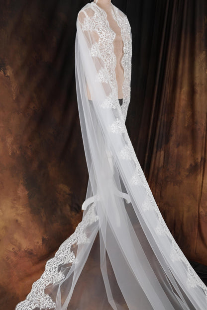 a woman in a wedding dress with a veil