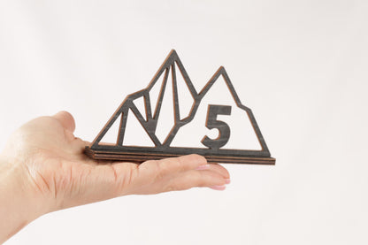 A hand holding a wooden object with a mountain shape and the number 5 on it.