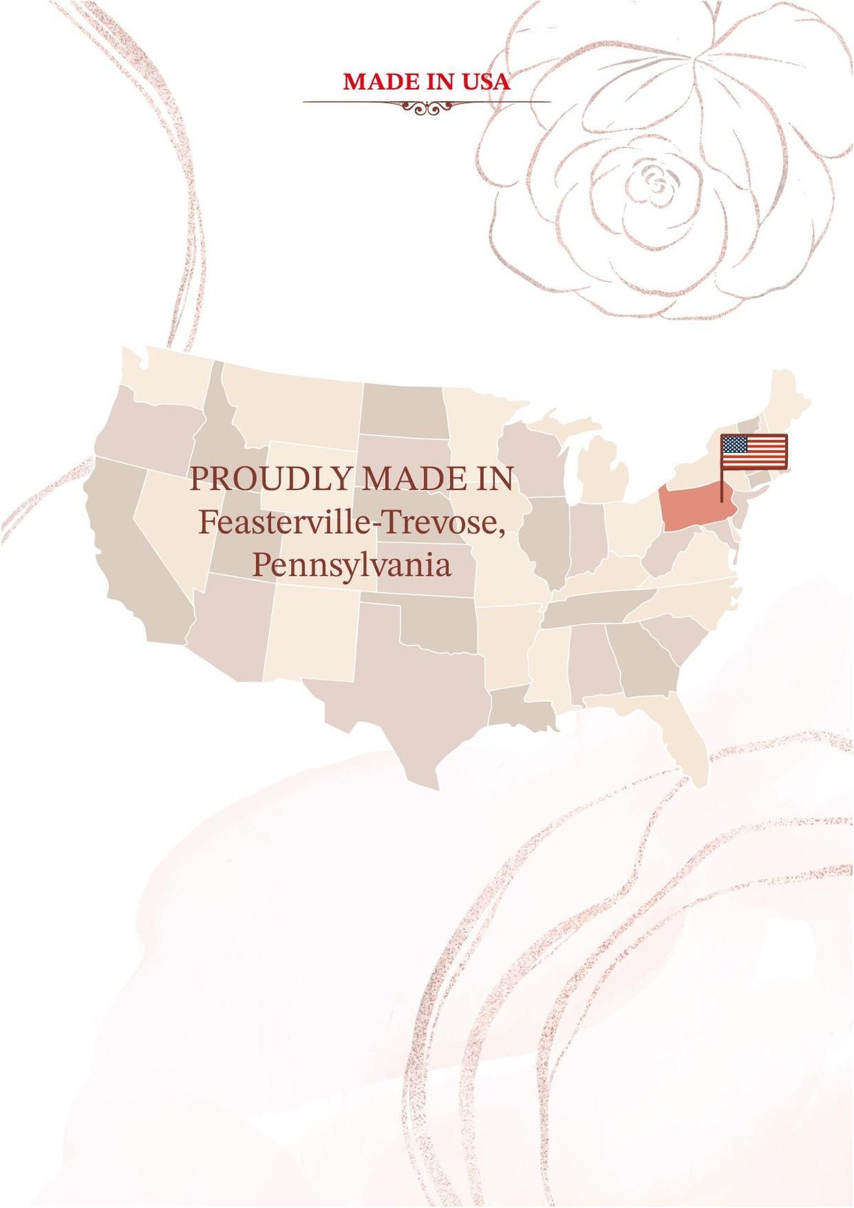 a map of the united states with a flag on it