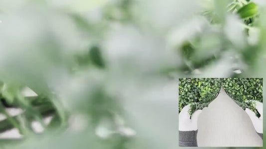 Green Grass Wedding Backdrop: Boxwood Hedge Panel (20"x20")